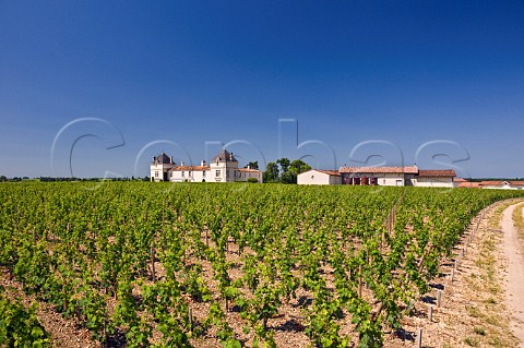 Chteau de Pez and its vineyards Pez Gironde France StEstphe  Bordeaux