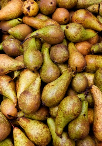 Organic conference pears