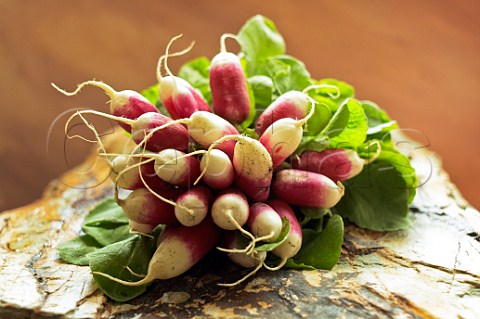 Bunch of radishes on stone