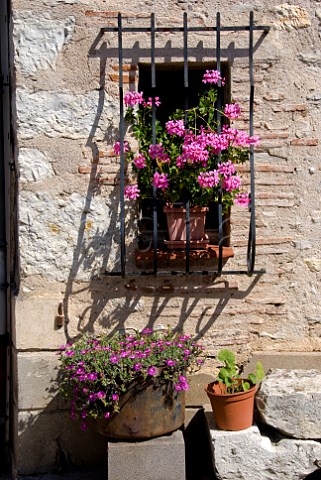 Flowers in a window Douelle near Cahors Lot France