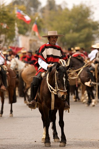 Huaso on horseback for the 18th September Independence Day celebration  Santa Cruz Chile
