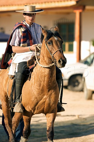 Young Huaso on horseback at a rodeo Lolol Colchagua Chile