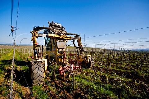 JeanMichel Deiss biodynamic winemaker on his special tractor ploughing a vineyard Bergheim HautRhin France Alsace