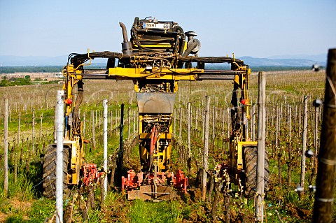 Special tractor of biodynamic winemaker JeanMichel Deiss ploughing a vineyard Bergheim HautRhin France Alsace