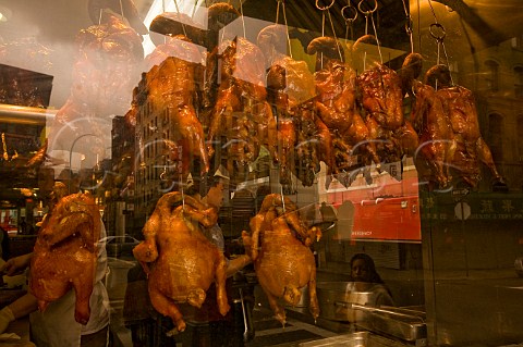 Roasted ducks hanging in a restuarant window in Chinatown New York USA