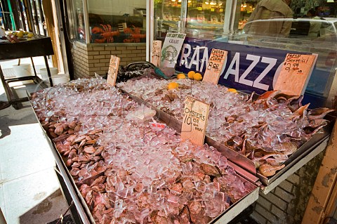 Fish shop selling oysters in The Bronxs Little Italy New York USA