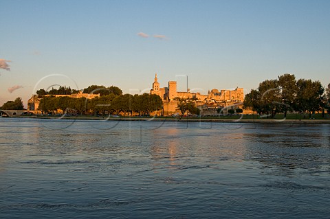Evening light on the Papal Palace of Avignon from the river Rhne Vaucluse Provence France