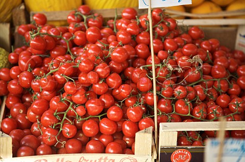 Cherry tomatoes at Mercato del Capo Palermo Sicily