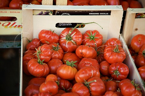 Display of tomatoes at Mercato del Capo Palermo Sicily