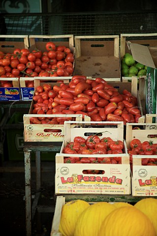 Display of tomatoes on a market stall at Mercato del Capo Palermo Sicily