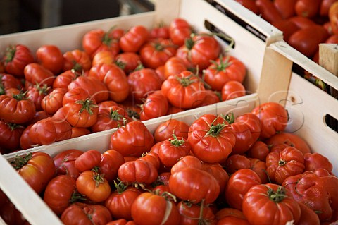 Tomatoes at Mercato del Capo Palermo Sicily