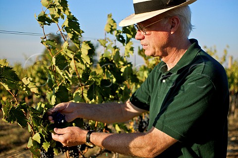 John S Dyson owner of Villa Pillo winery Gambassi Terme Tuscany Italy Chianti Putto