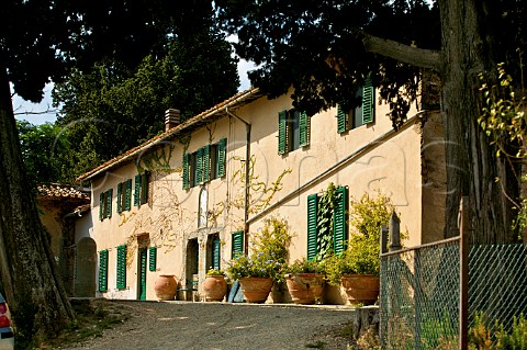 Bibi Graetz winery Fiesole Tuscany Italy Chianti Colli Fiorentini