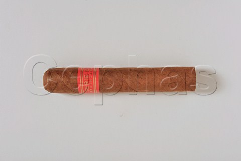 Cohiba Partagas cigar