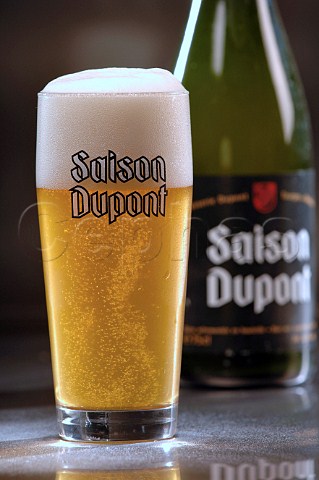 Glass and bottle of Saison Dupont Belgian beer