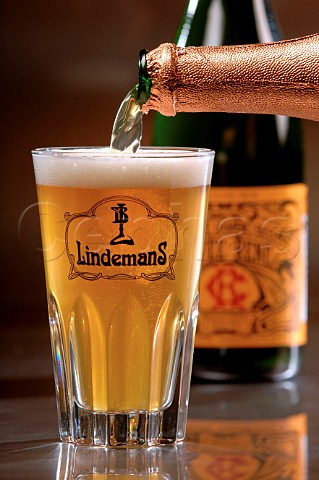 Pouring glass of Lindemans Belgian beer
