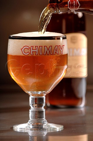Pouring glass of Chimay Capsule Blanch Trappist Belgian beer