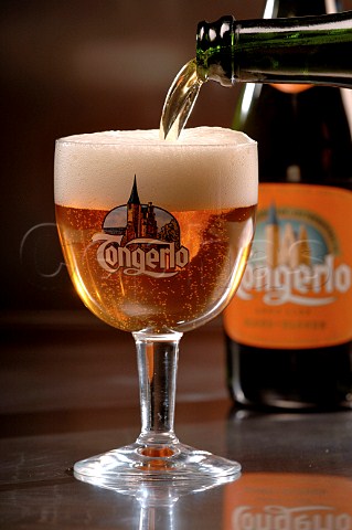 Pouring glass of Tongerlo Belgian beer