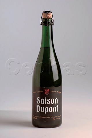 750ml bottle of   Saison Dupont Belgian beer
