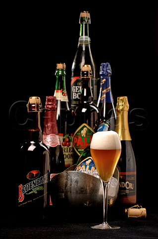 Assortment of Belgian beers