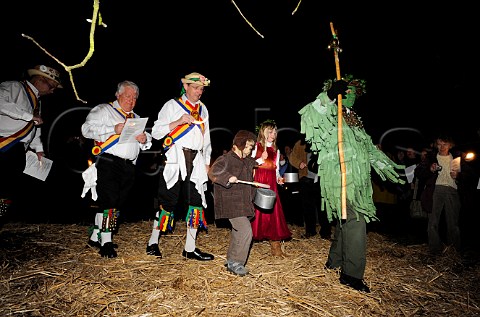The Green Man and the Mendip Morris Men lead the Wassailing Procession around the apple tree during Thatchers Cider Wassailing event Thatchers Cider Farm Sandford North Somerset England