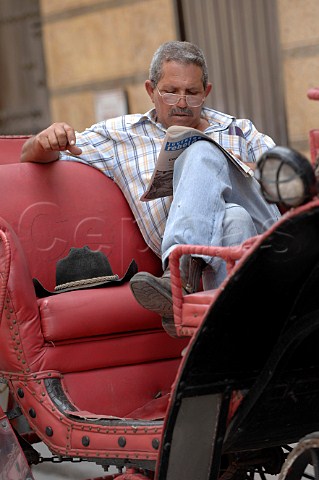 Horse and carriage owner waiting for custom  Havana Cuba