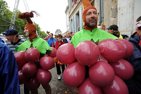 Runners dressed as bunches of grapes at the start of the Marathon du Mdoc Pauillac  Gironde France