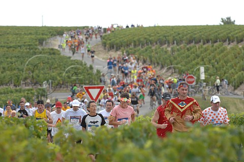 Marathon du Mdoc runners on the D2 road between StEstphe and Pauillac Gironde France  HautMdoc  Bordeaux