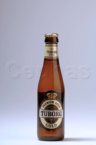 Bottle of Tuborg blond beer  Copenhagen Denmark