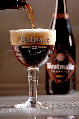 Pouring glass of Westmalle trappist Belgian beer