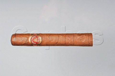 Ramon Allones Havana cigar