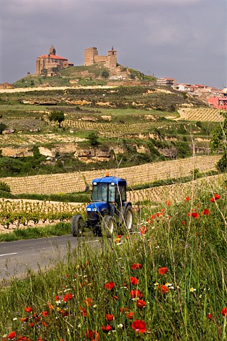 Village and vineyards of San Vicente de la Sonsierra La Rioja Spain  Rioja Alta
