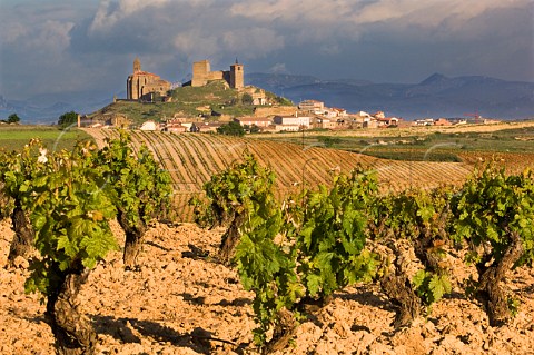 Village and vineyards of San Vicente de la Sonsierra La Rioja Spain  Rioja Alta