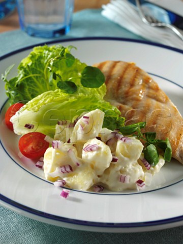 Grilled chicken potato salad