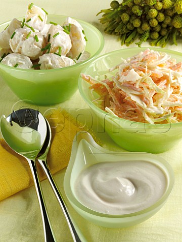 Salad dessing coleslaw and potato salad