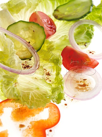 Batavia lettuce salad on a white background