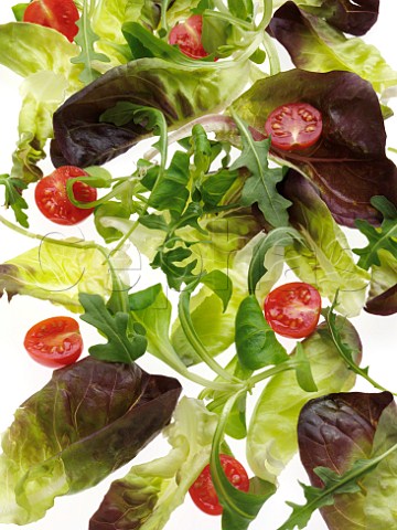 Salad leaves on a white background