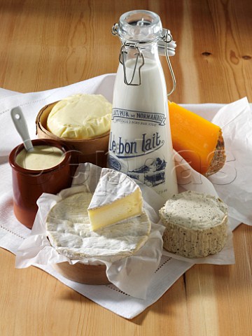 French dairy produce