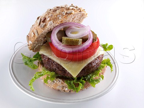 Veggie burger with cheese tomato and red onion