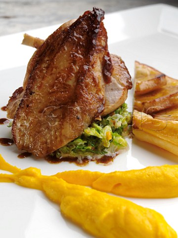 Roasted guinea fowl with parsnip tart fin carrot puree and jusgri