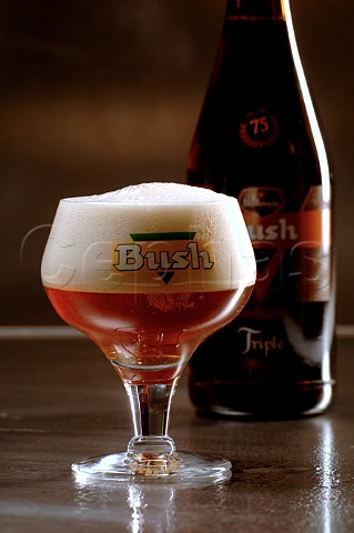 Glass and bottle of Bush Tripel Belgian beer