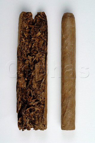 Whole and halved cigar