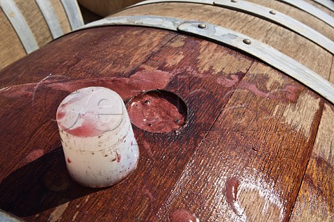 Sangiovese fermenting in barrel at Calatrasi   San Cipirello Palermo Sicily