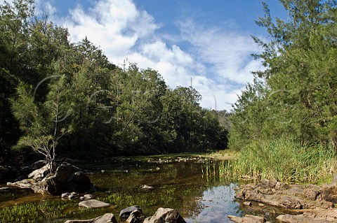 Deua River Deua National Park New South Wales Australia