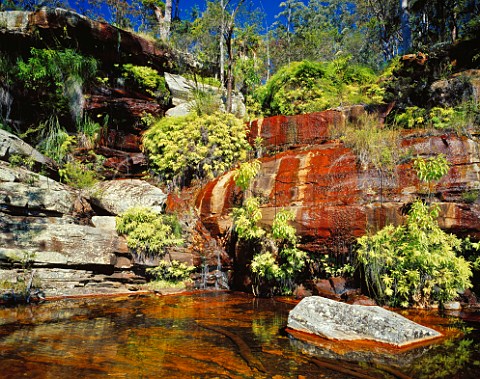 Two Mile Falls Blacktown Tablelands National Park Queensland Australia