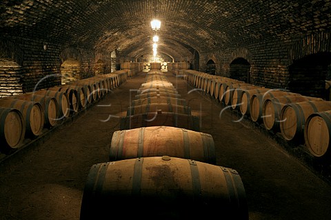 Casillero del Diablo cellar of Concha y Toro winery Pirque Chile Maipo Valley