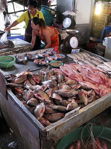 Fish stall at Bangkok fish market Thailand