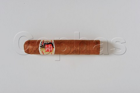 Hoyo de Monterey Havana cigar