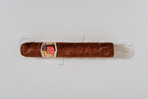 Hoyo de Monterey Havana cigar