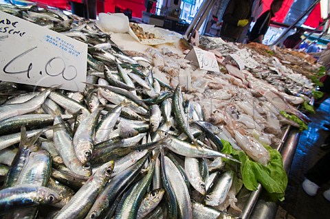 Sardines on sale at the Pescheria Rialto fish market San Polo Venice Italy